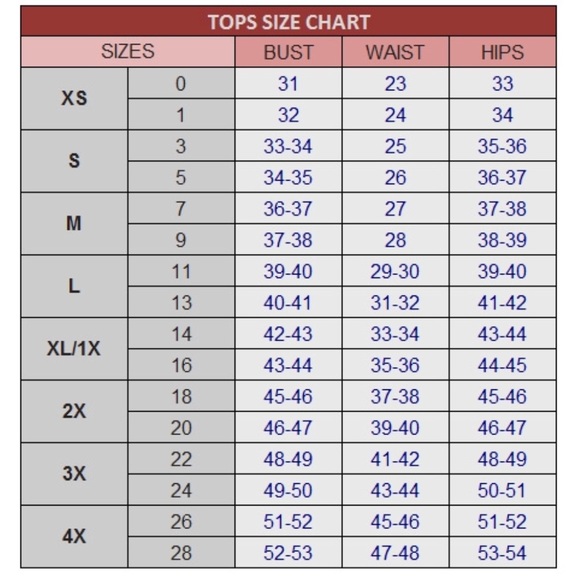 Scalloped Long Sleeve Lace Top - Picture 3 of 3